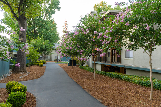 American River Commons in Sacramento, CA - Foto de edificio - Building Photo