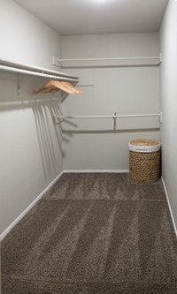 Broadstone Briar Forest photo'