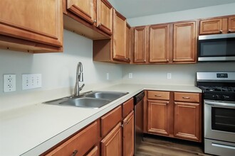 1419 Penny Royal Ct in Houston, TX - Building Photo - Building Photo
