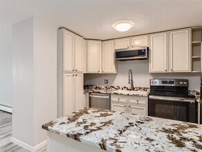 1029 E 8th Ave in Denver, CO - Building Photo - Building Photo