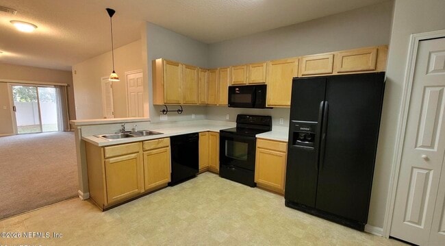 505 Scrub Jay Dr in St. Augustine, FL - Building Photo - Building Photo