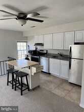 243 10th St SE in Washington, DC - Building Photo - Building Photo