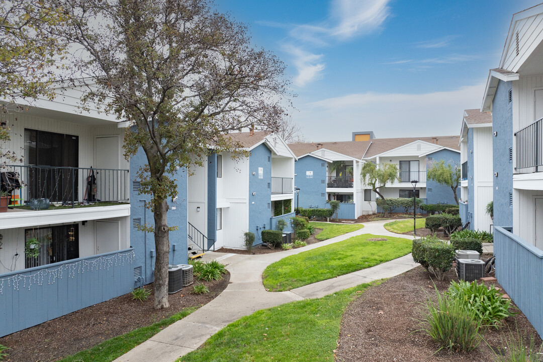 Mission Bay Apartments in Pittsburg, CA - Building Photo