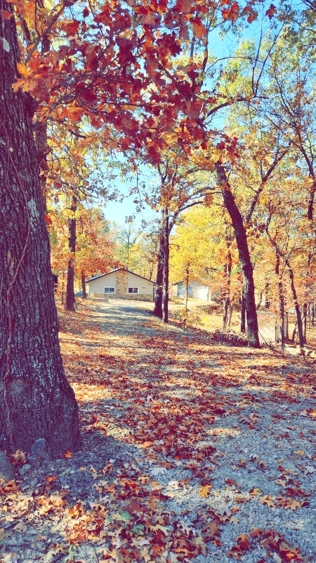 property at 116942 S 4244 Rd