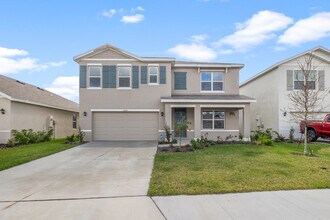 17249 Wheatberry Blvd in Parrish, FL - Building Photo - Building Photo