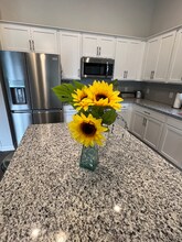19 Stetson Dr in Savannah, GA - Building Photo - Building Photo