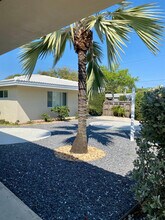 1241 NE 16th Terrace in Fort Lauderdale, FL - Foto de edificio - Building Photo