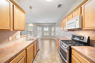 25203 Spring Iris Ln in Katy, TX - Building Photo - Building Photo