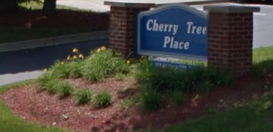 Cherry Tree Place Apartments in Georgetown, KY - Building Photo