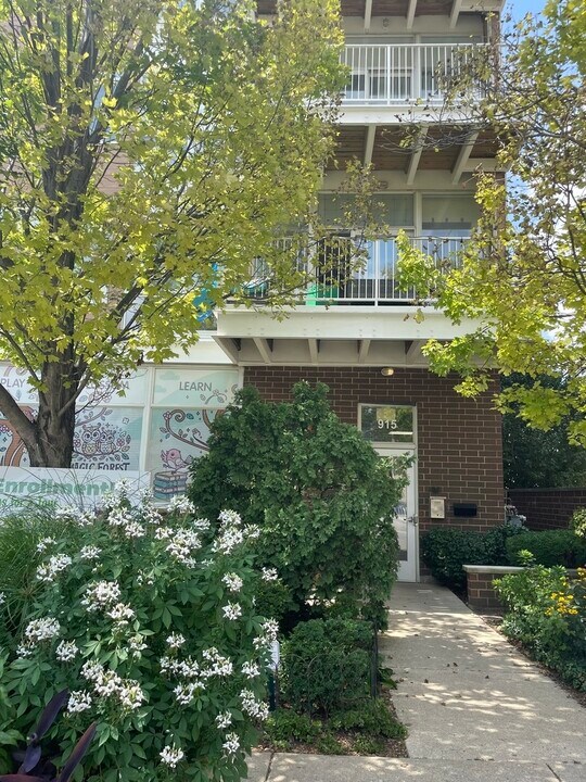915 S Oak Park Ave in Oak Park, IL - Building Photo