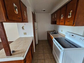 1885 N Taylor Rd in Cleveland, OH - Building Photo - Building Photo