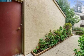 2716 Oak Rd in Walnut Creek, CA - Building Photo - Building Photo