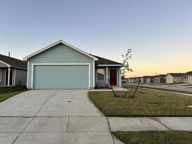 1037 Raintree Rd in Princeton, TX - Building Photo