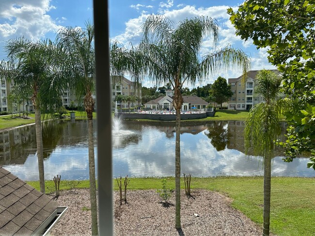 5267 Cane Island Loop in Kissimmee, FL - Building Photo - Building Photo