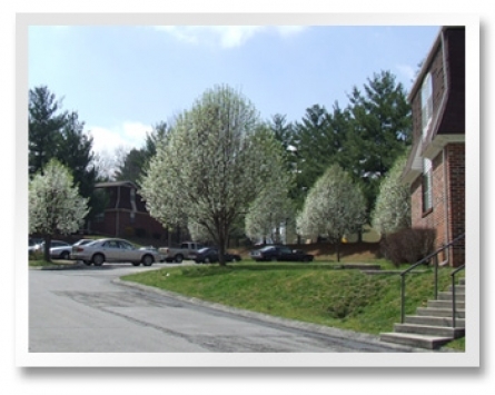 Willow Park Apartments in Cookeville, TN - Foto de edificio