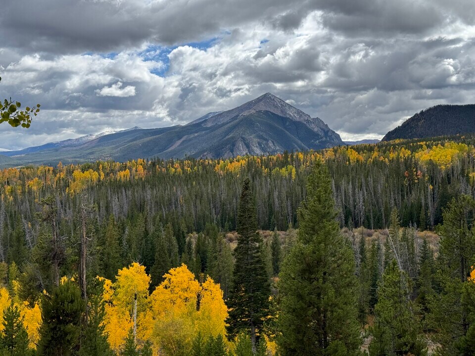 9460 Ryan Gulch Rd, Unit 62 in Silverthorne, CO - Foto de edificio