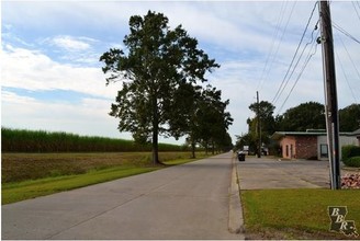 Louise Street Quarters in Thibodaux, LA - Building Photo - Building Photo