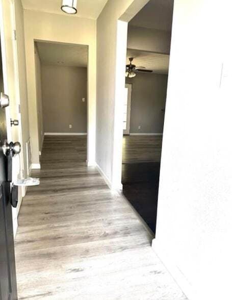 13806 Hollypark Dr in Houston, TX - Foto de edificio - Building Photo