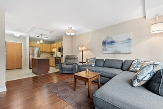 211 E Ohio St in Chicago, IL - Building Photo - Building Photo