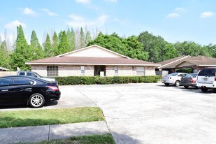 3241 Bloomingdale Villas Ct in Brandon, FL - Building Photo