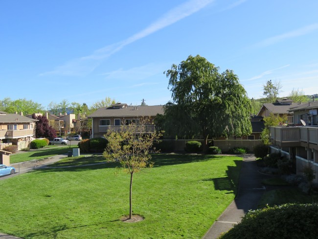 Country Club Apartments in Santa Rosa, CA - Building Photo - Building Photo