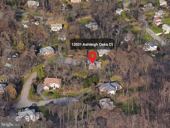 12501 Ashleigh Oaks Ct in Herndon, VA - Building Photo - Building Photo