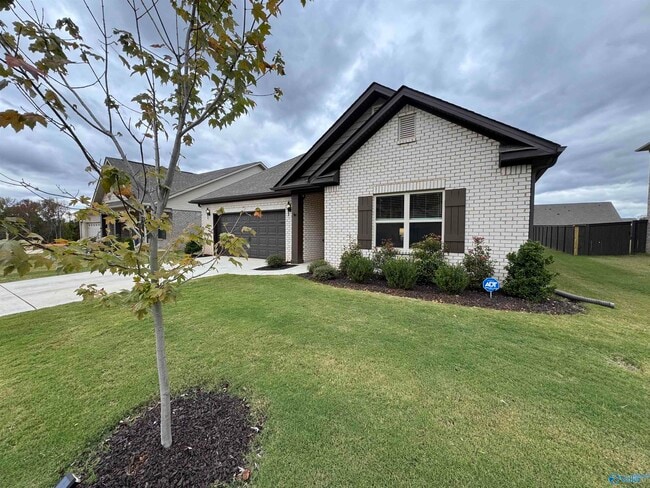 property at 209 Saddle St