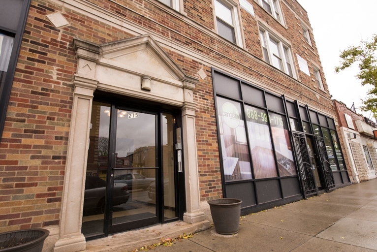 Pangea Chatham Apartments in Chicago, IL - Building Photo