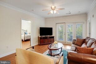501 Hungerford Dr in Rockville, MD - Building Photo
