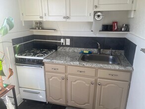 2009 N Vine St in Denver, CO - Building Photo - Building Photo