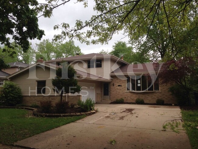 817 Rose Ln in Matteson, IL - Foto de edificio - Building Photo