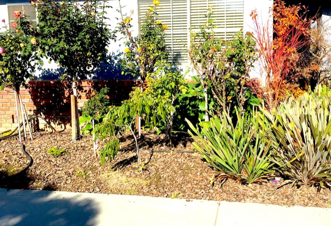 1771 Meridian Ave in San Jose, CA - Foto de edificio - Building Photo