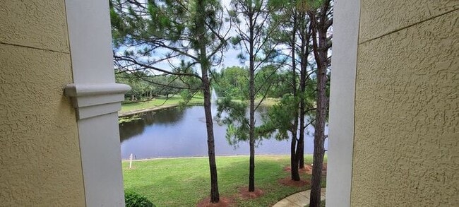 8803 Dunes Ct in Kissimmee, FL - Foto de edificio - Building Photo