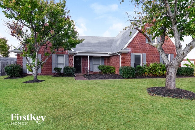 8250 Misty Fields Cove in Memphis, TN - Building Photo - Building Photo