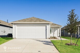 3020 Burmese St in Providence Village, TX - Building Photo