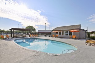 Greenville Apartments For Rent Tx Briar Cove Apartments