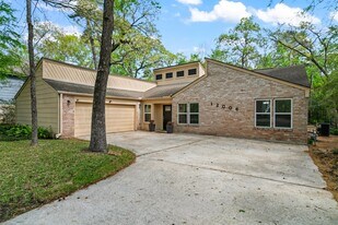 12006 Acorn Oak St in Spring, TX - Building Photo