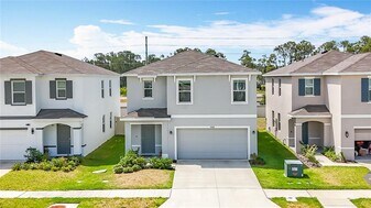 33568 Barberry Leaf Wy in Wesley Chapel, FL - Building Photo