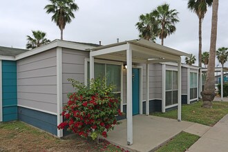 Valley Island Palms Apartments in Edinburg, TX - Foto de edificio - Building Photo