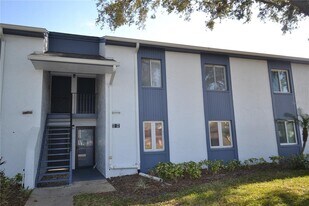 256 Cypress Ln in Oldsmar, FL - Building Photo