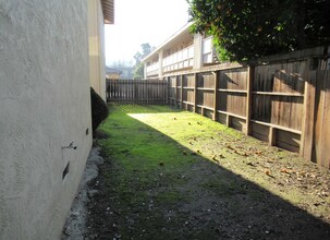 2149 Mount Diablo St, Unit 3 in Concord, CA - Building Photo - Building Photo
