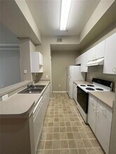 17112 Carrington Park Dr, Unit 924 in Tampa, FL - Building Photo - Building Photo