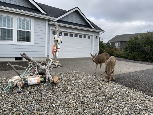 448 Sportsmen St in Ocean Shores, WA - Foto de edificio - Building Photo