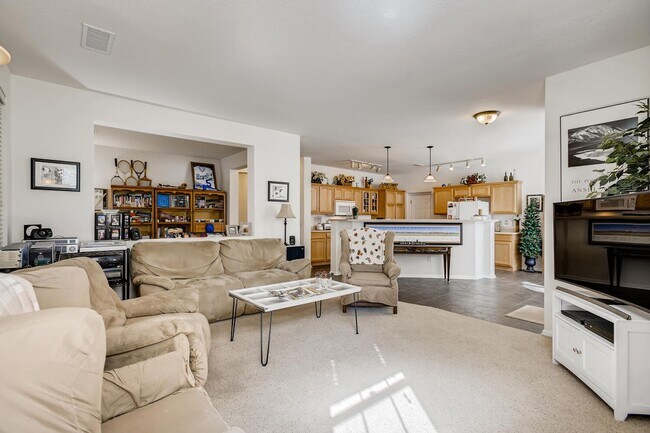 10582 Parkington Ln in Highlands Ranch, CO - Building Photo - Building Photo