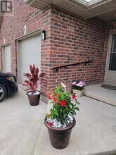 45 Nathalie Ct in Welland, ON - Building Photo - Building Photo