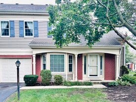 223 New Bridge Ct in Palatine, IL - Building Photo