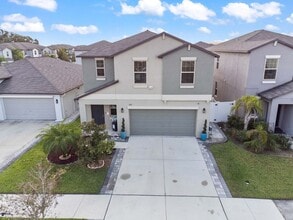 3717 Cat Mint St in Tampa, FL - Foto de edificio - Building Photo