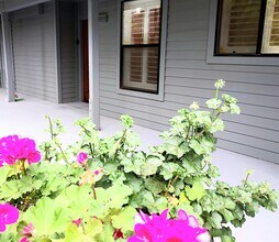1644 San Miguel Dr in Walnut Creek, CA - Building Photo - Building Photo