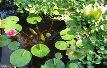 6007 Hunt Ridge Rd-Unit -3331 in Baltimore, MD - Building Photo - Building Photo