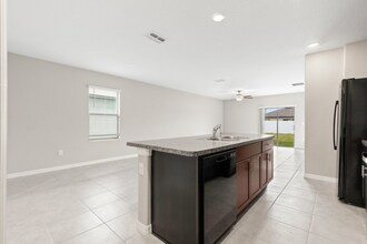 951 Olive Conch St in Ruskin, FL - Building Photo - Building Photo